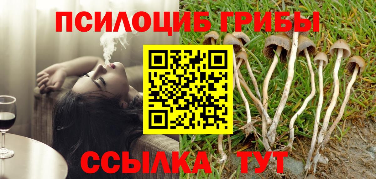 Псилоцибиновые грибы MAGIC MUSHROOMS Железноводск