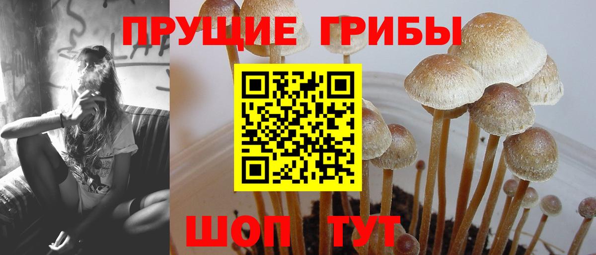Галлюциногенные грибы Magic Shrooms  Вход с VPN  Железноводск 